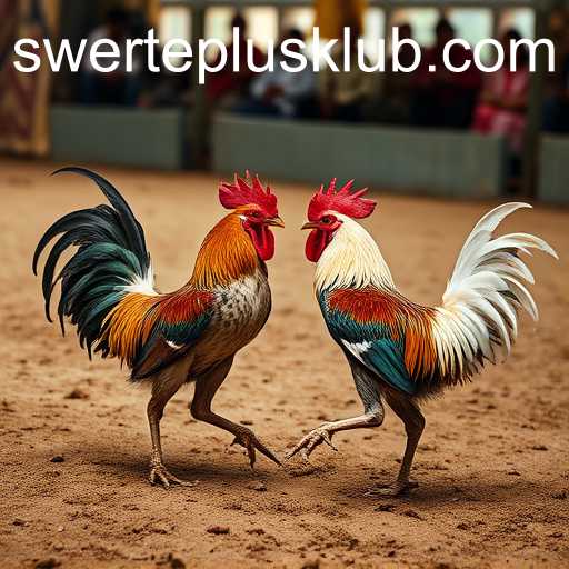 Understanding Sabong Games and the Role of SWERTEPLUS in Cockfighting